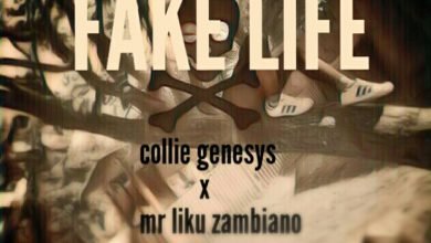 Collie Genesys Fake Life