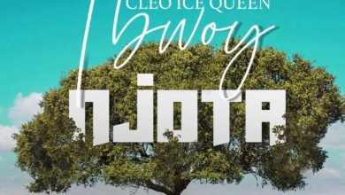 Download TBwoy Ft. Cleo Ice Queen - Njota