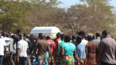 Shimpanzi put to rest