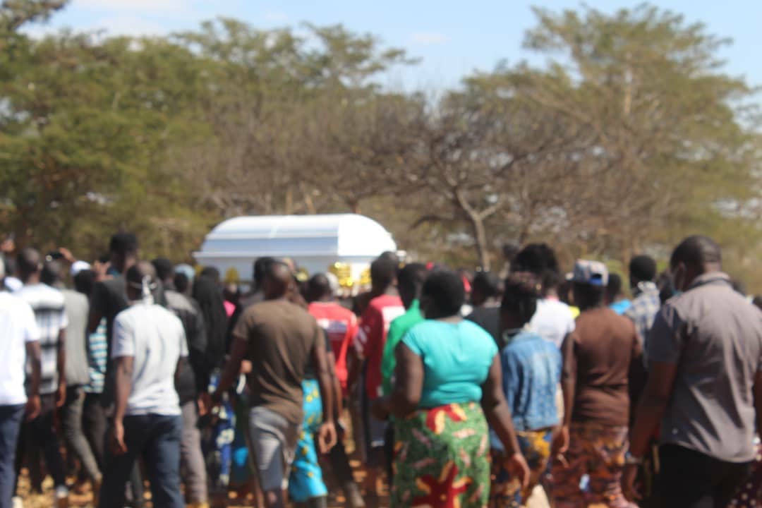 Shimpanzi put to rest