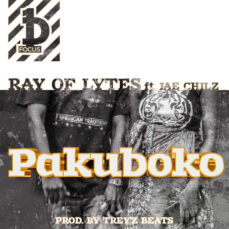 ray of lytes ft. jae chilz pakuboko
