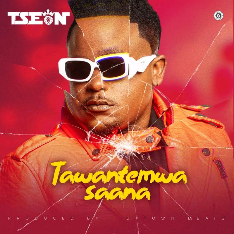 T-Sean - Tawantemwa Saana