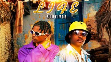 The Braz Ft. DJ Lang Zee - Ghetto Life Survivor