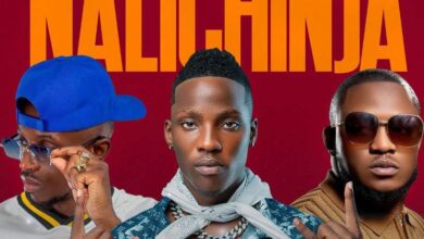 Blood Kid Yvok Ft. Chef 187 & Dizmo - Nalichinja Mp3 Download