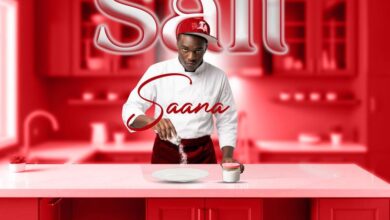 Mizzy C - Salt Sana (Mp3 Download)