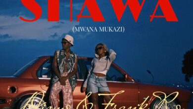 Dizmo Ft. Frank Ro - Abana Shawa