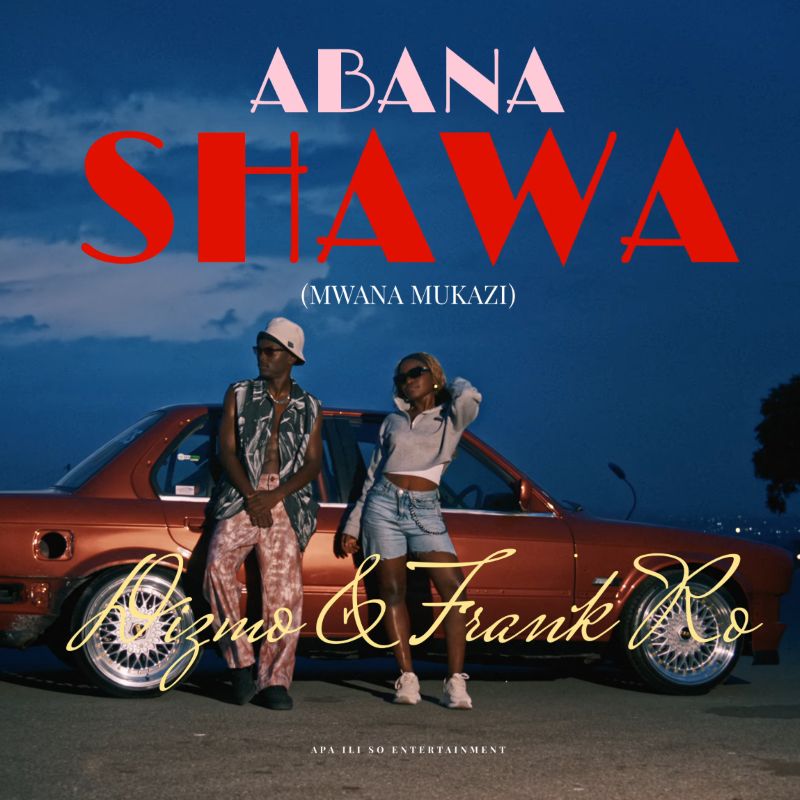 Dizmo Ft. Frank Ro - Abana Shawa