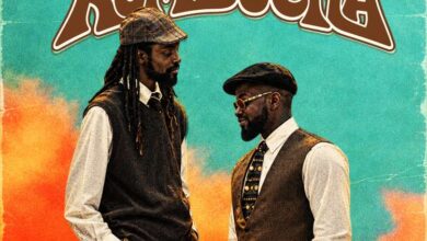 jay rox & dove dee kumbucha